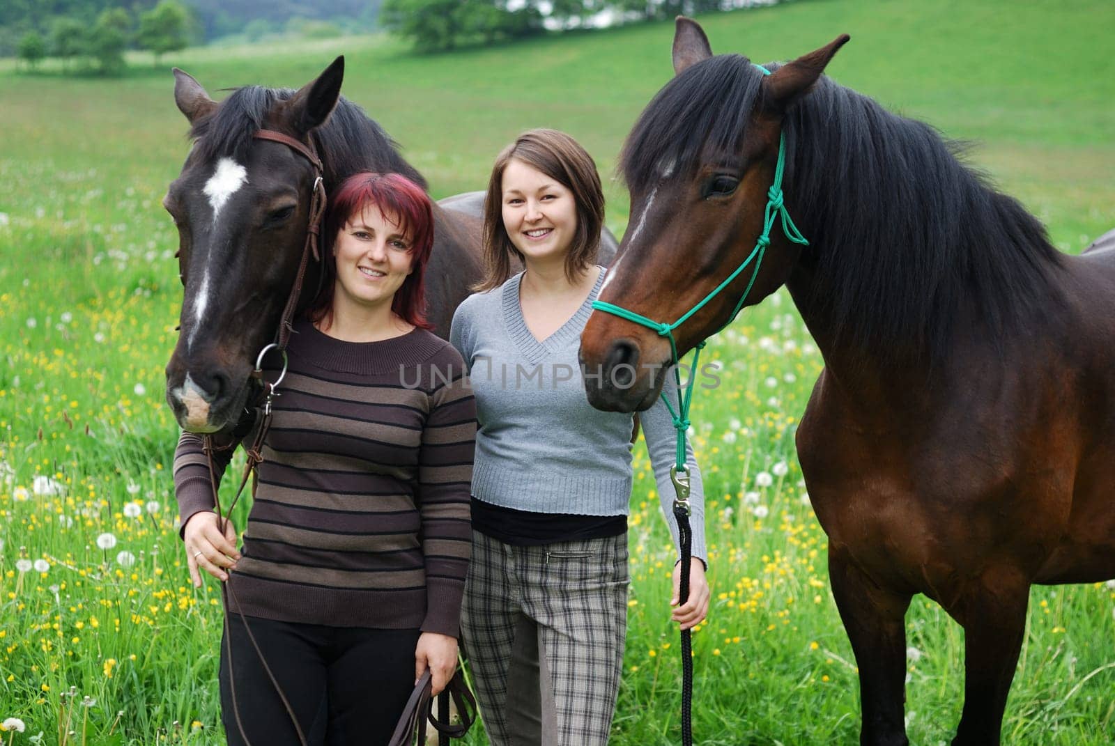 Young women with horses