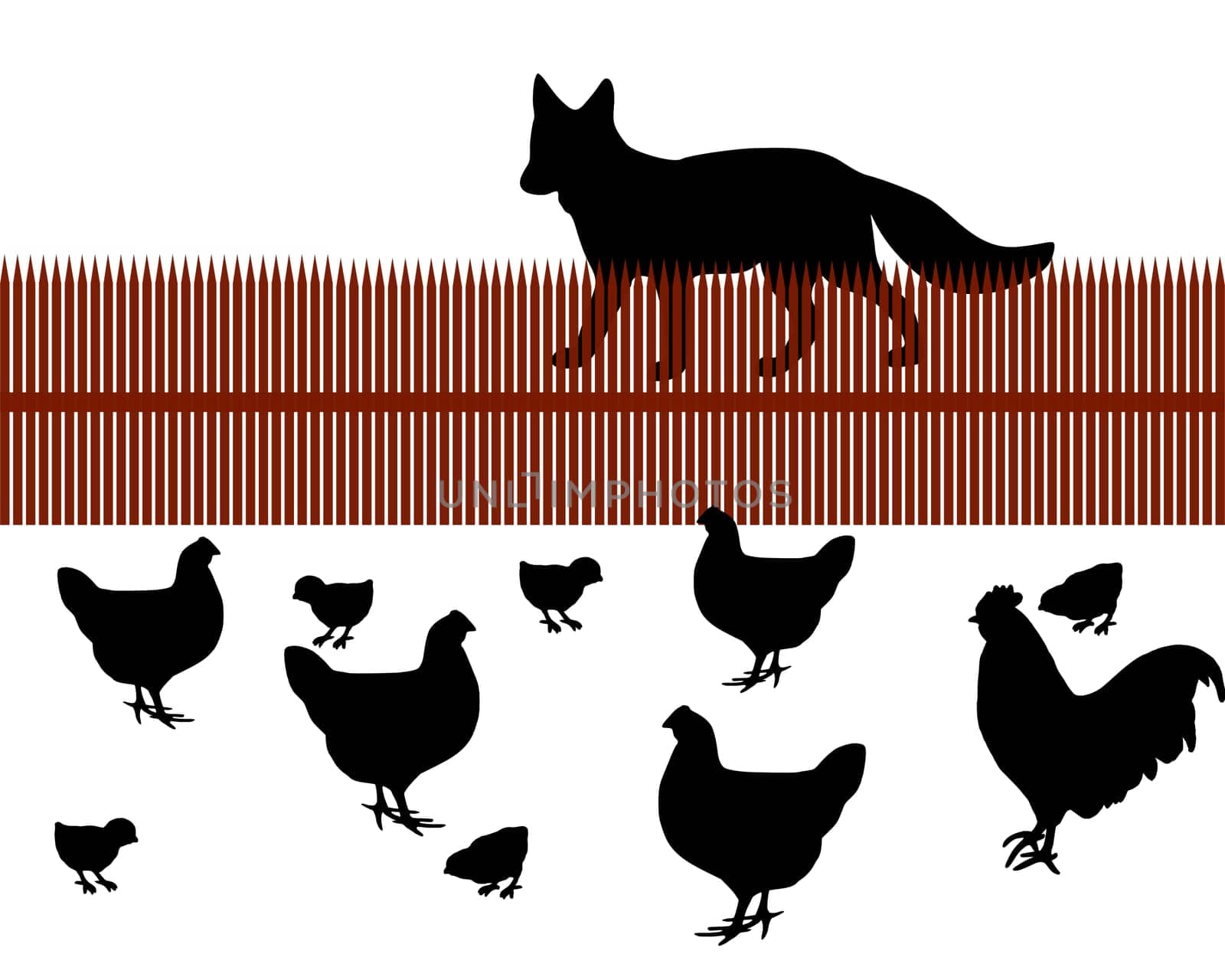 Fox wants chicken for dinner