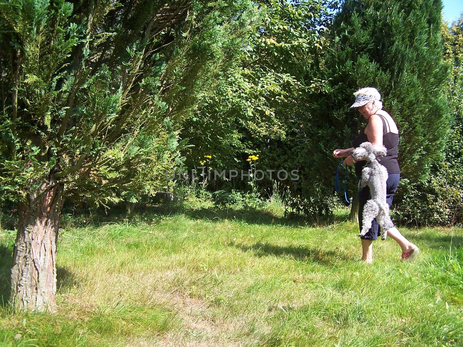 Very sprightly modern pensioner with dog