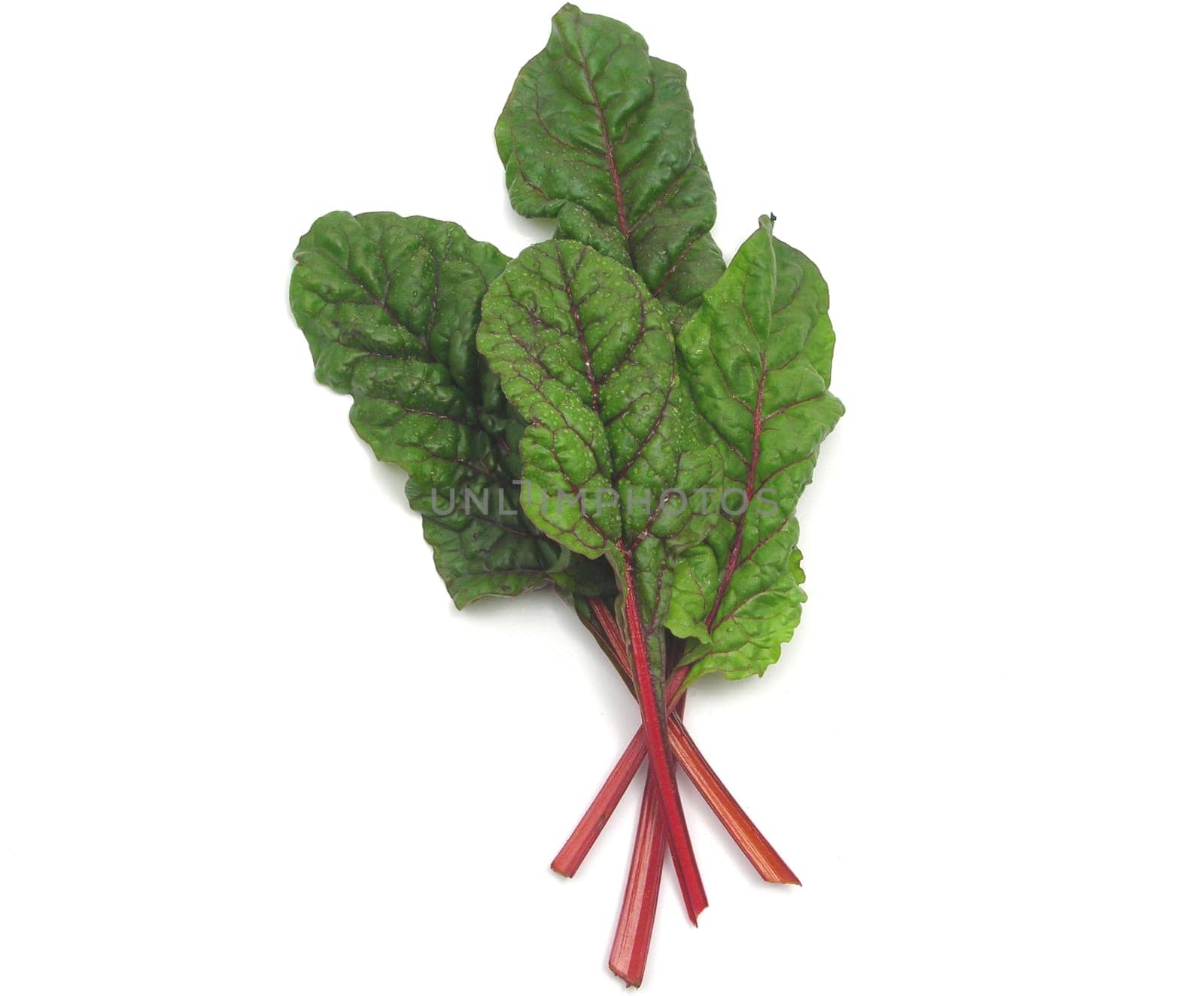 Four red-stemmed chard leaves crossed