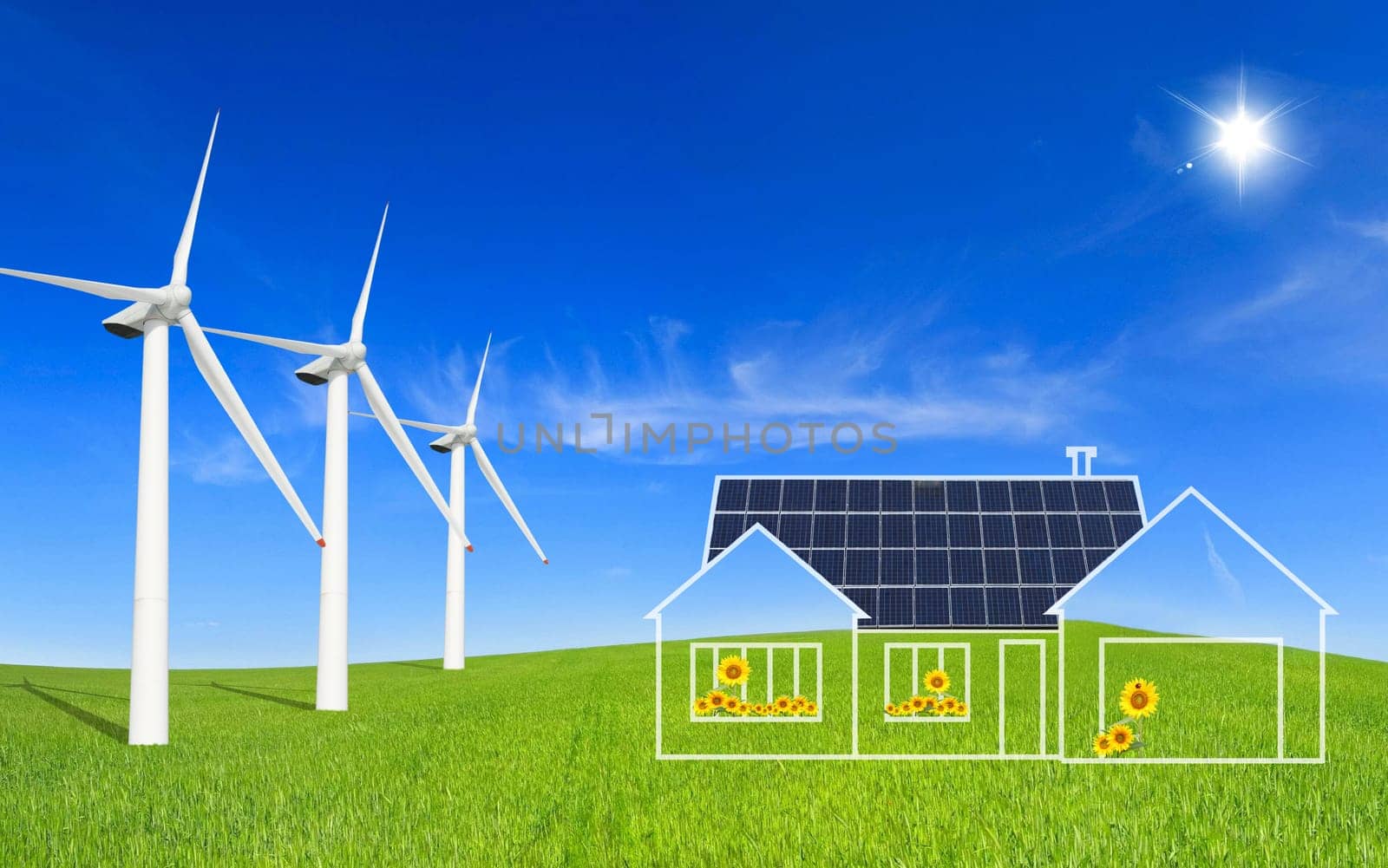 Eco House