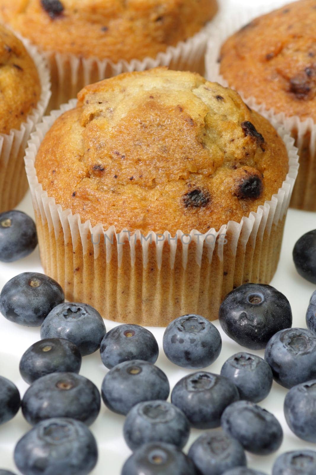 Blueberry Muffins