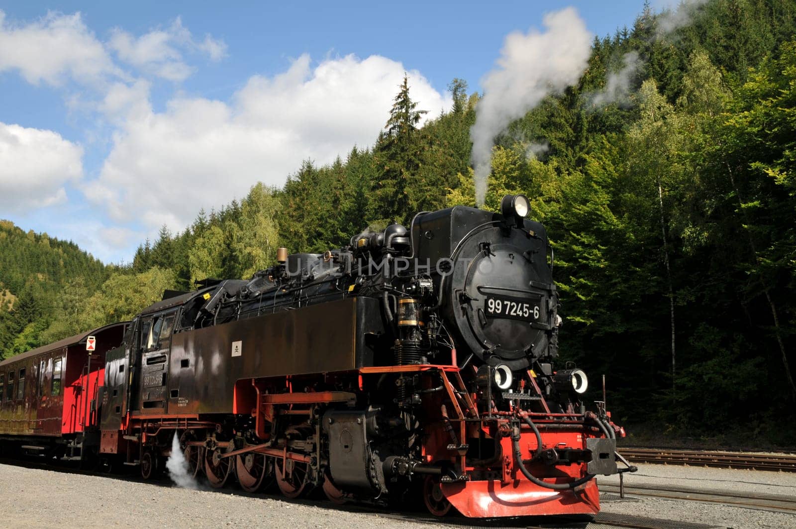 Narrow-gauge railway on the platform in the Harz Mountains