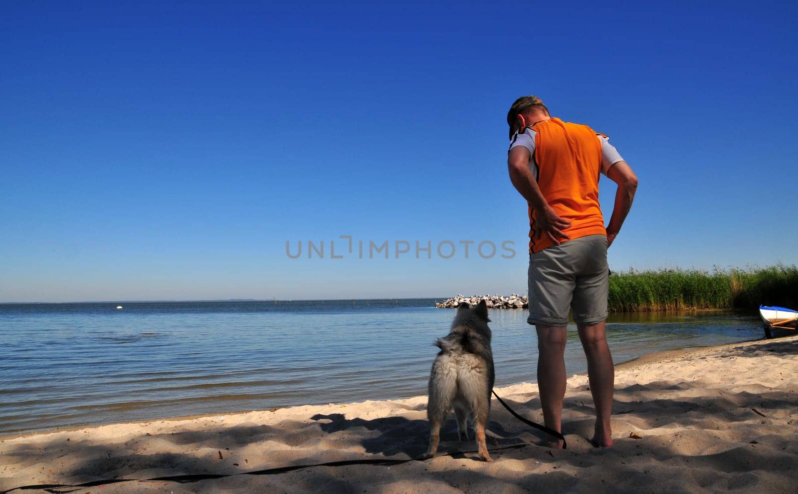 Dog Beach Dog Holidays