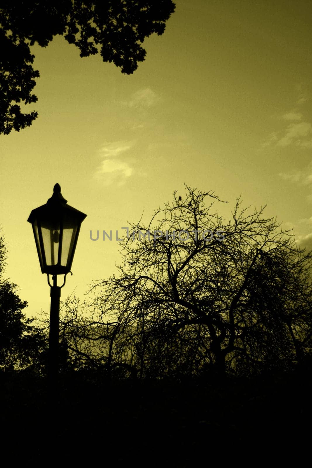 Silhouettes