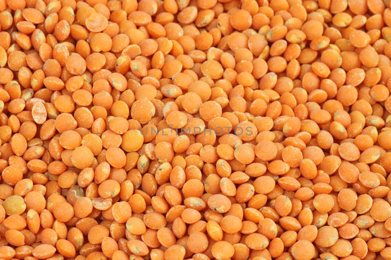 Red lentils