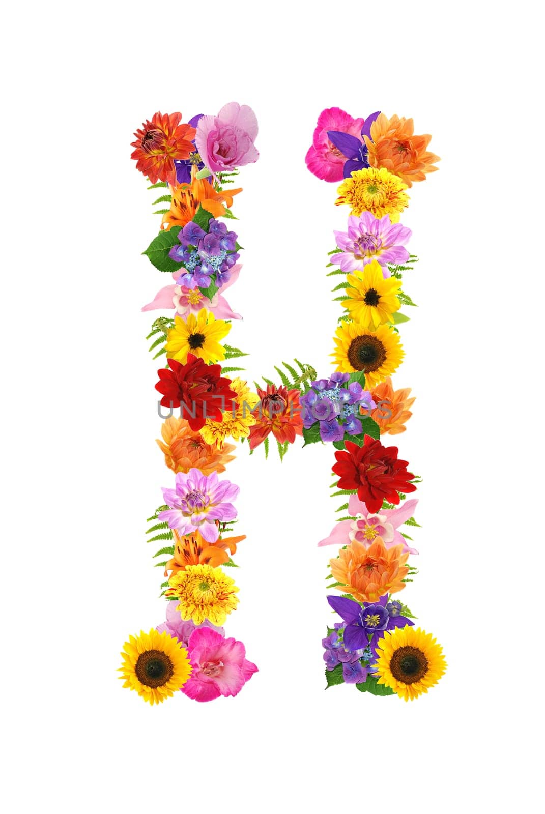 H