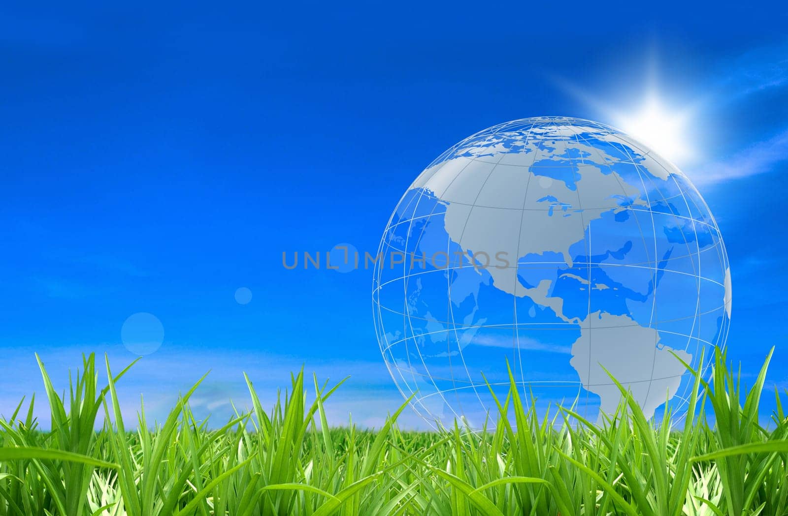 Globe in a fiel of grass