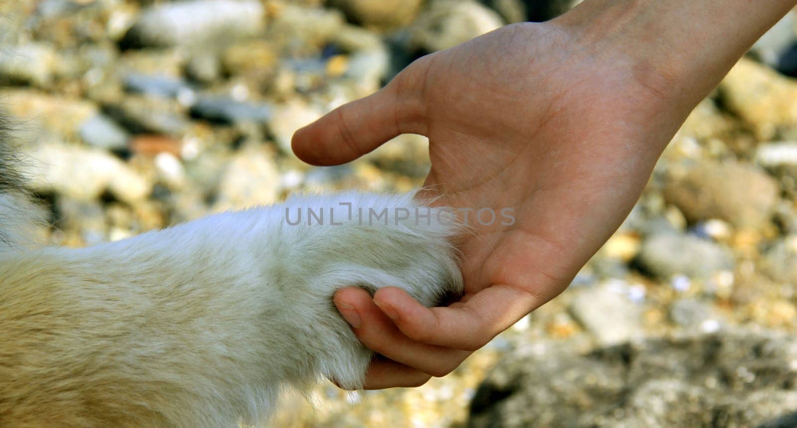 handshake