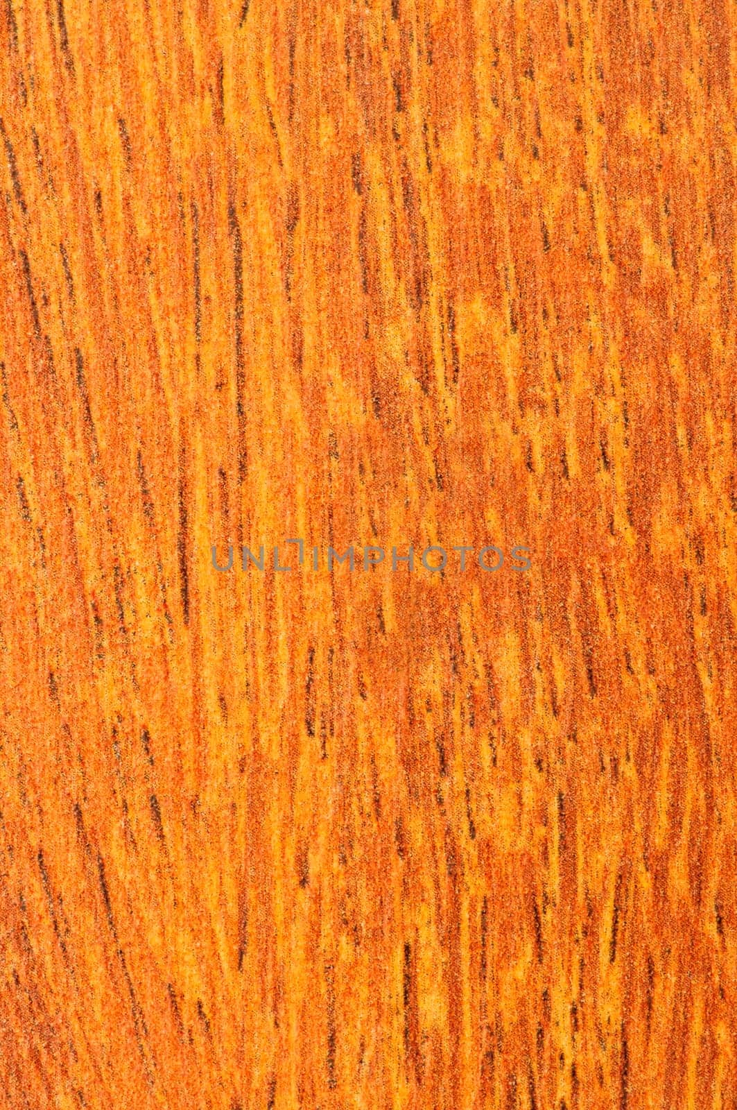Pre-finished hardwood floor sample