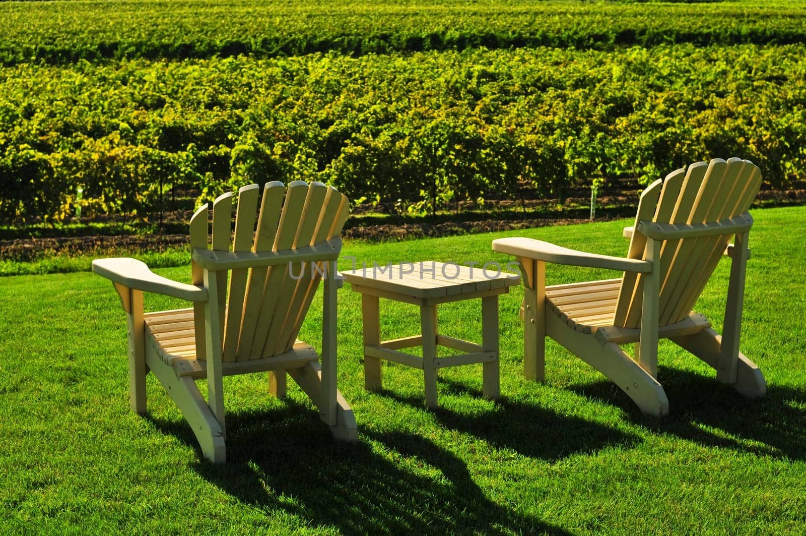 Chairs overlooking vineyard