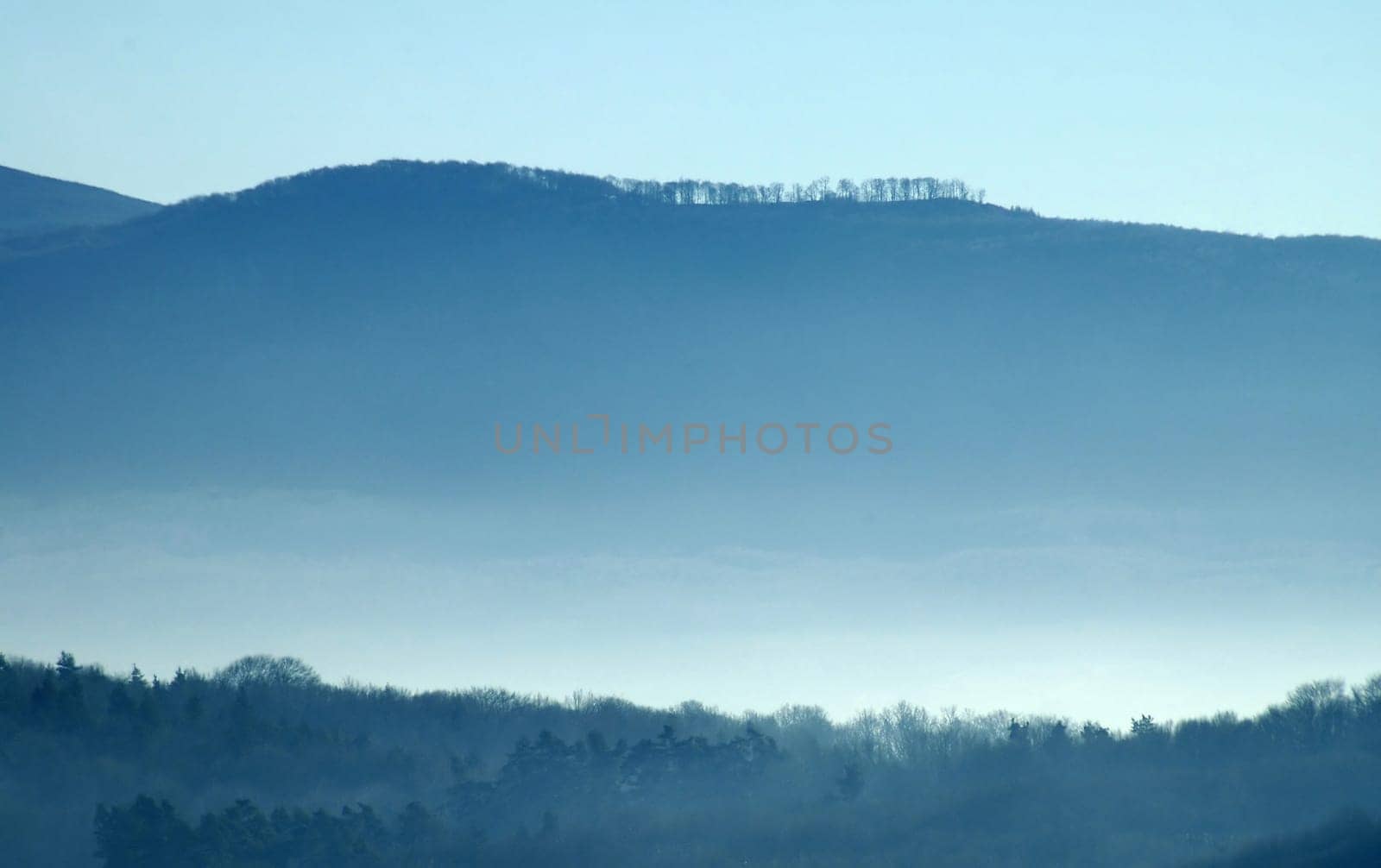 foggy land