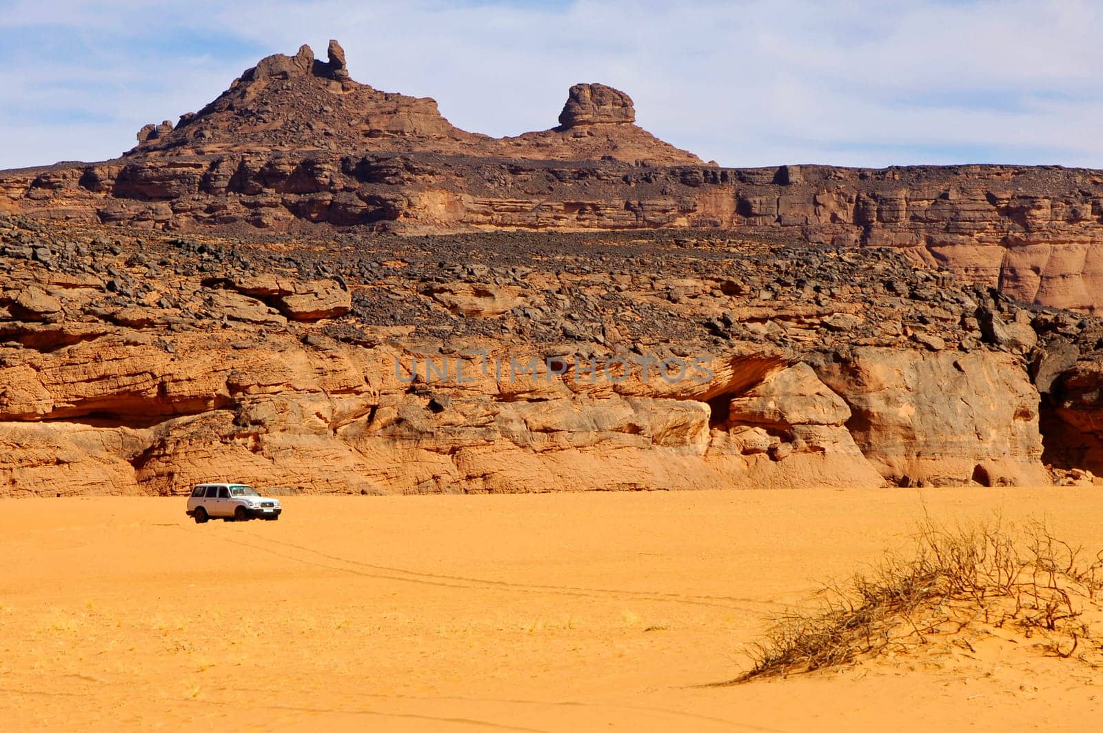 Dry river valley in the Sahara