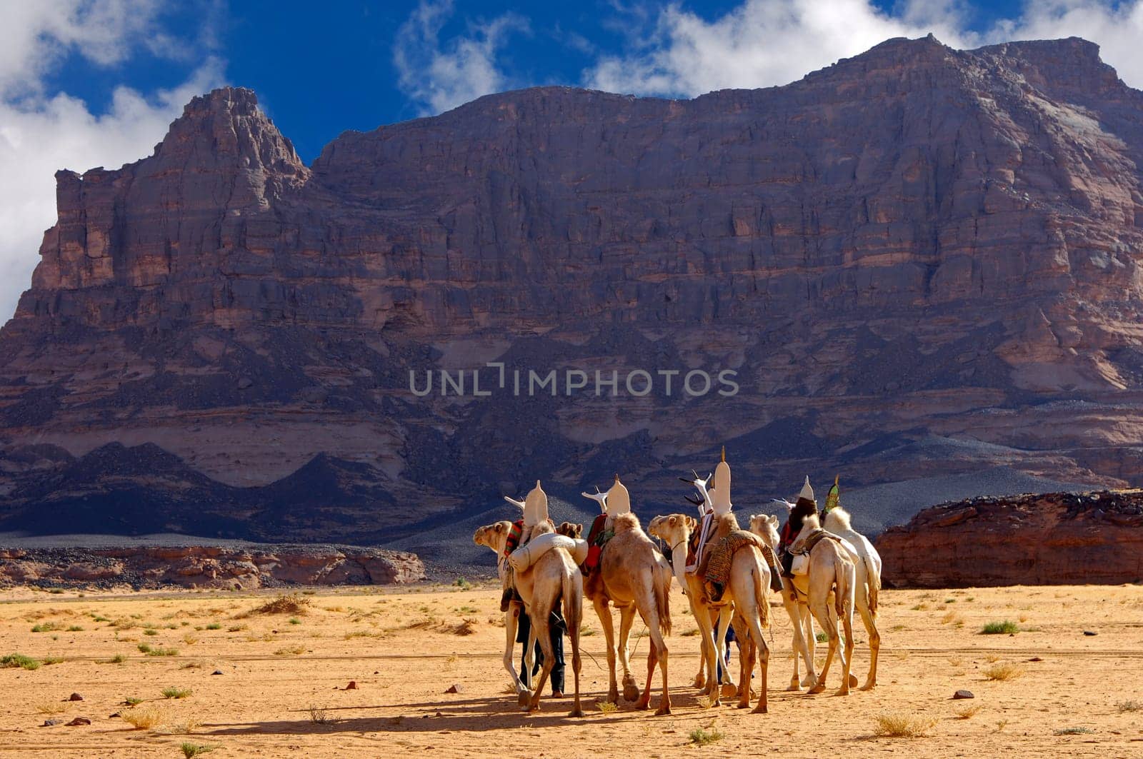 Riding camels of the Tuareg nomads in a wadi in front of a mountain range in the Akakus region
