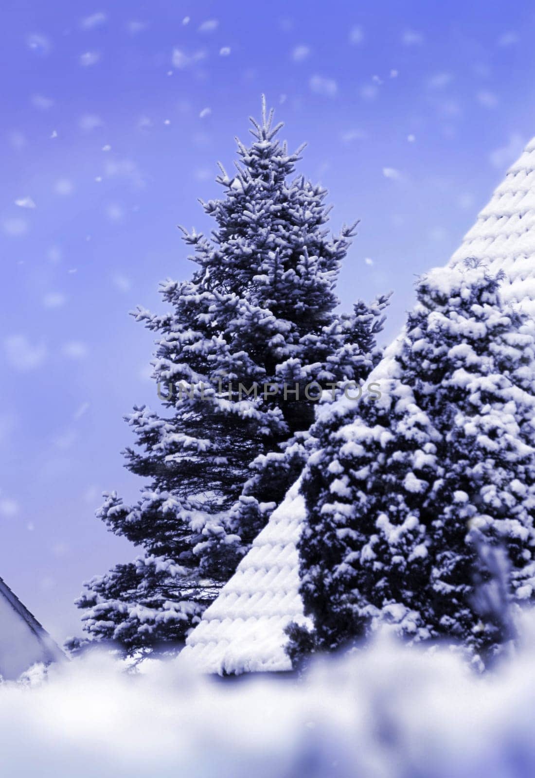 winter-quietly-trickles-the-snow