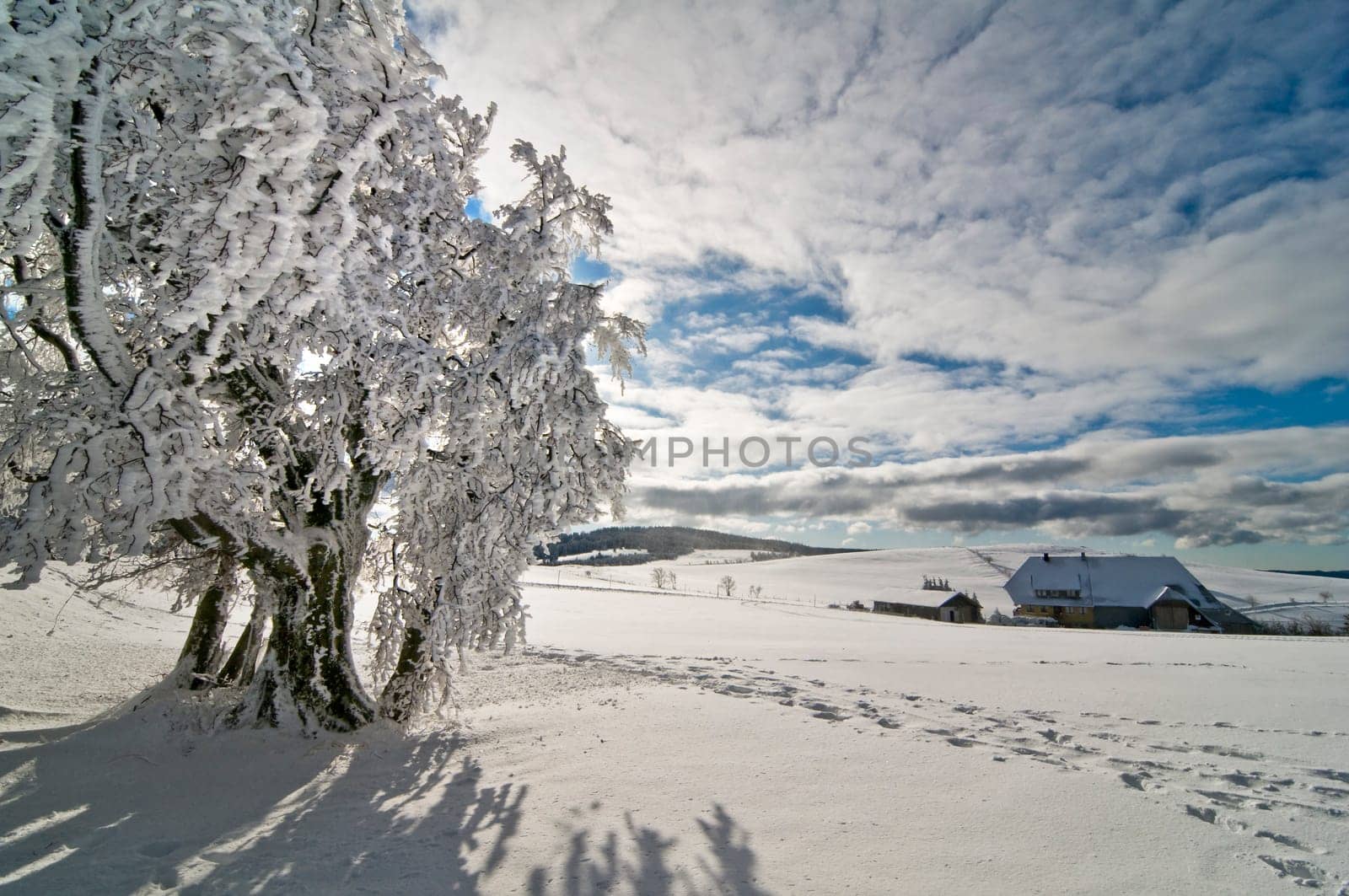 Winter200920