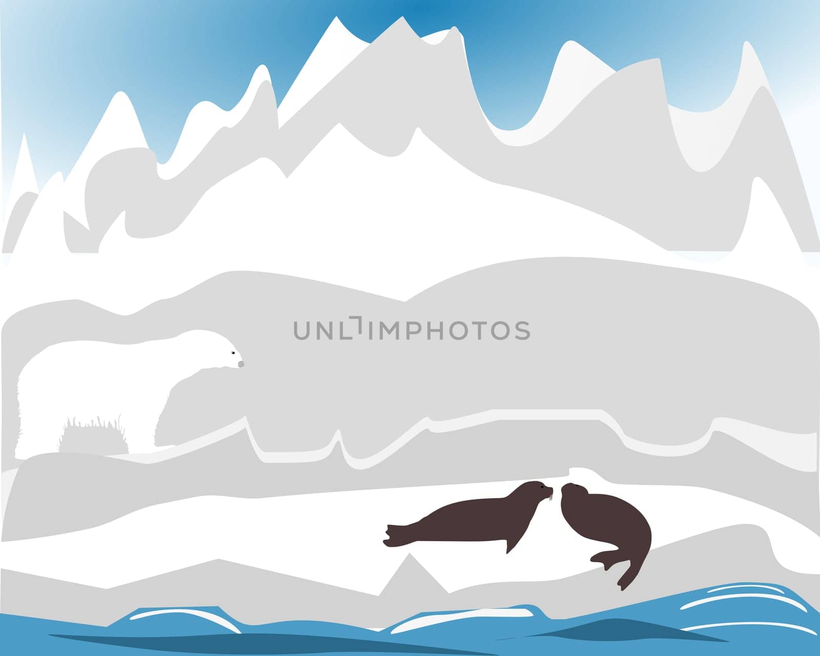 Polar bear hunting for seals