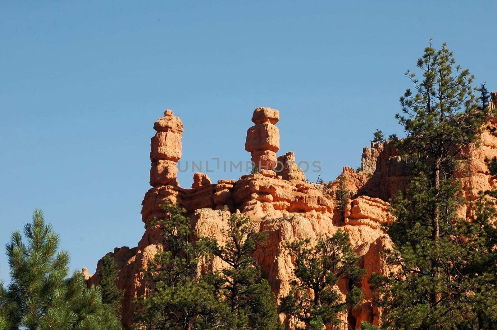 Red Canyon