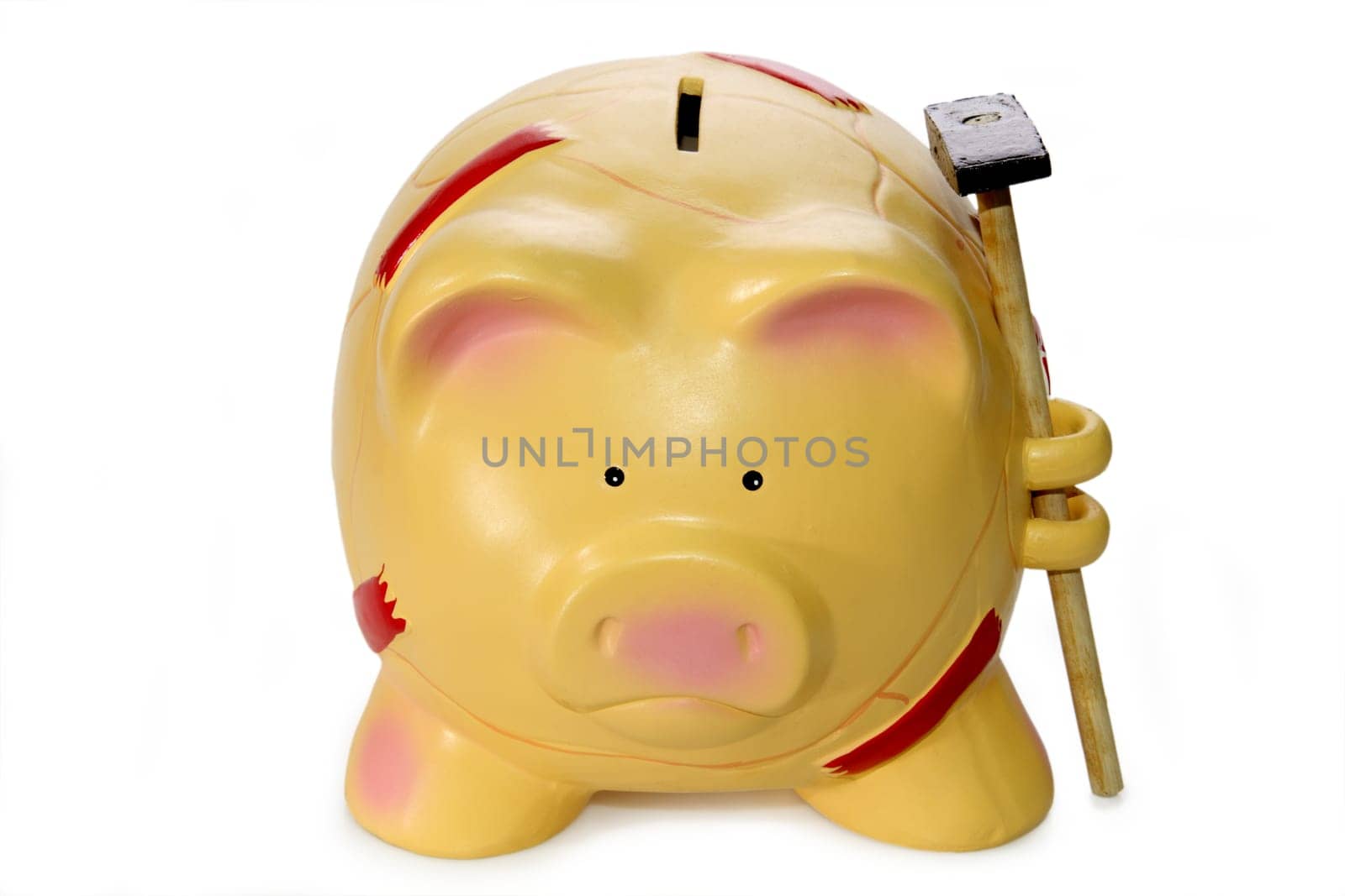Piggy bank