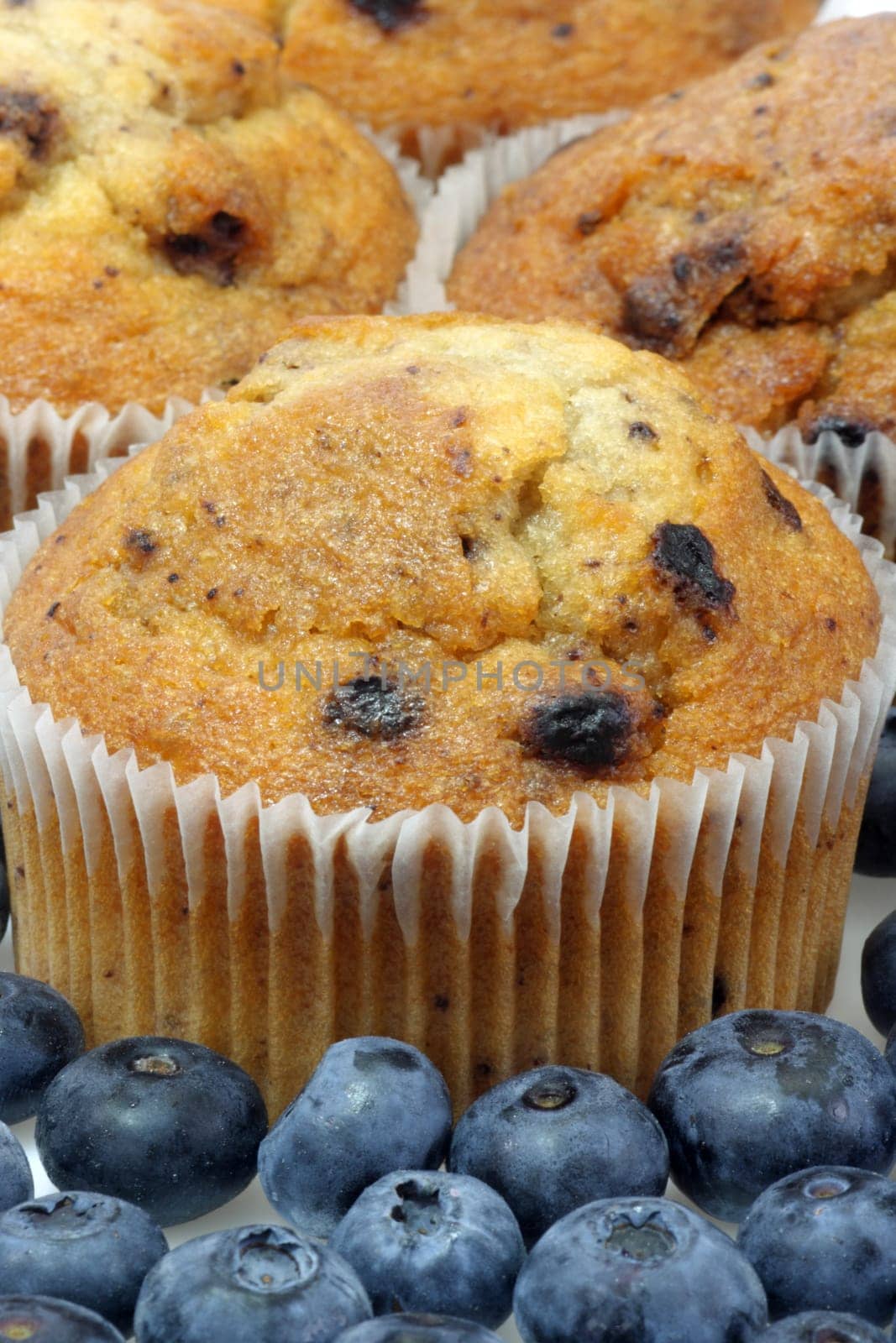Blueberry Muffins