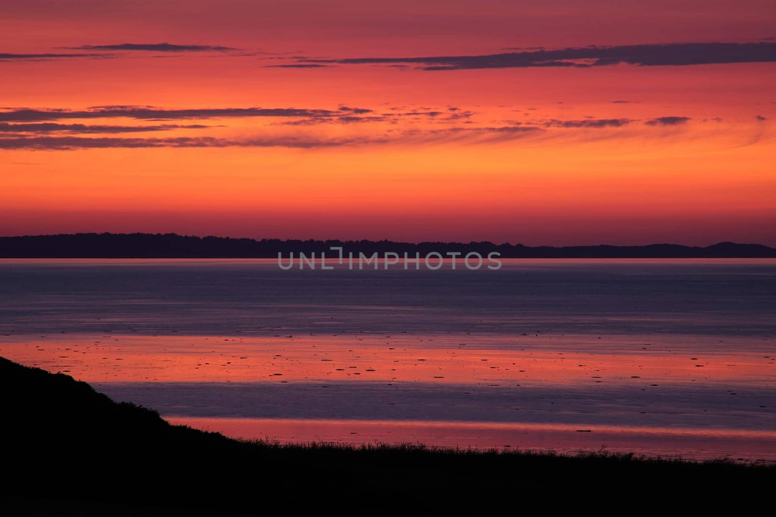 Low tide in the Wadden Sea