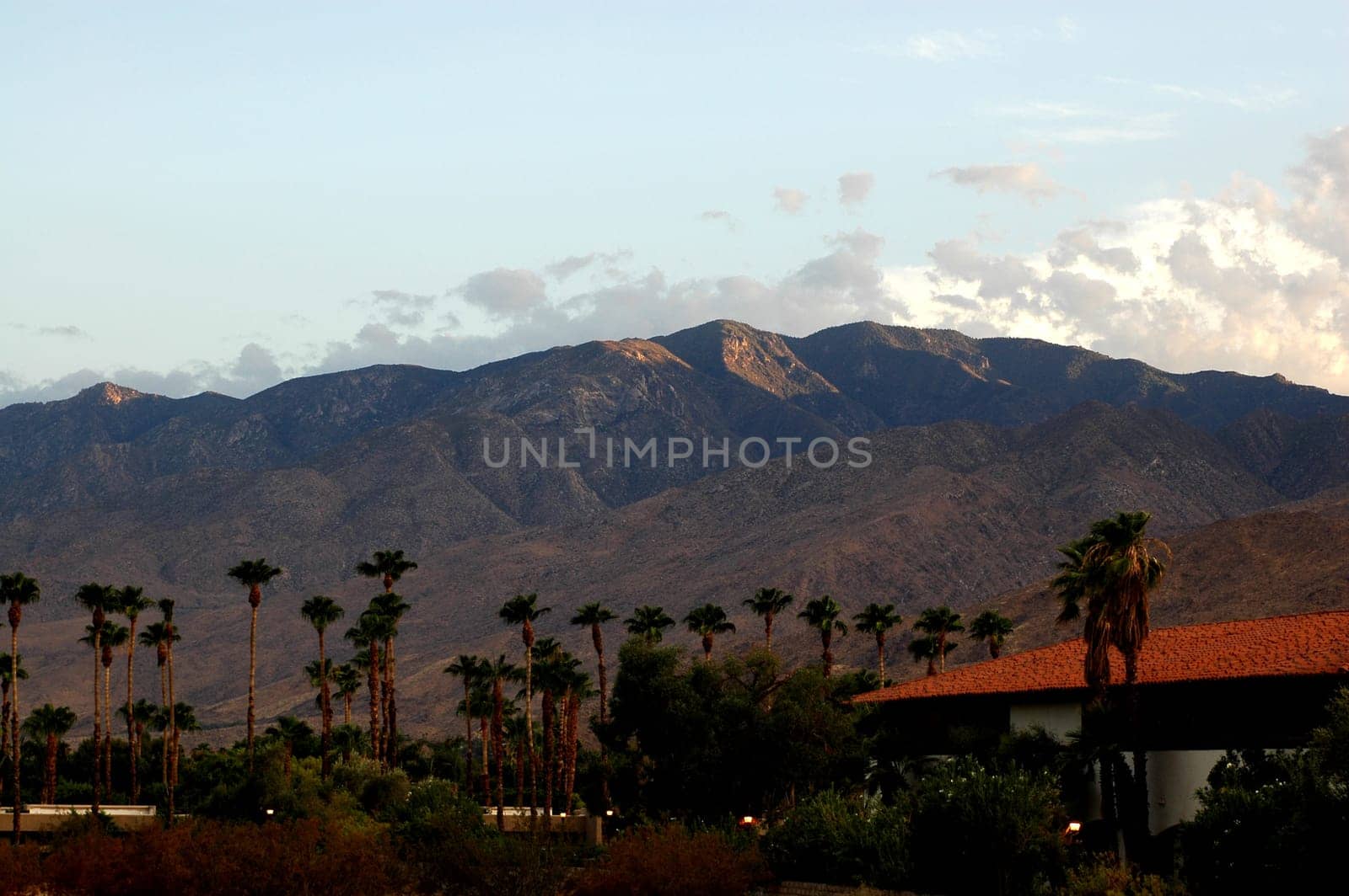 Palm Springs