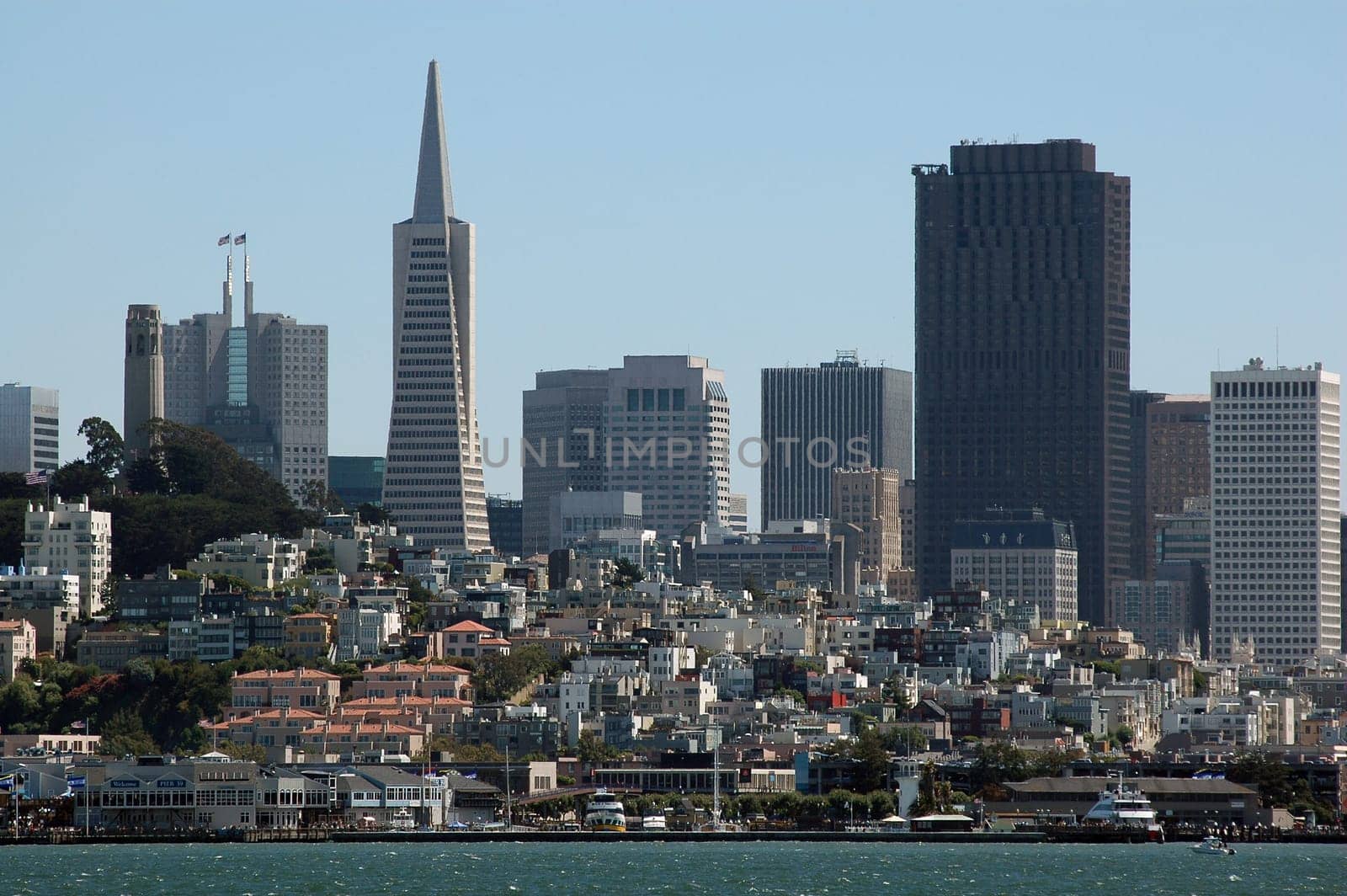 San Francisco Cityscape