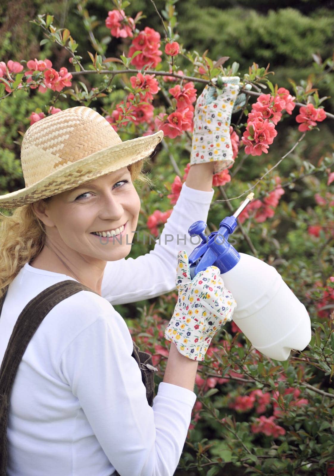 Young woman spraying tree