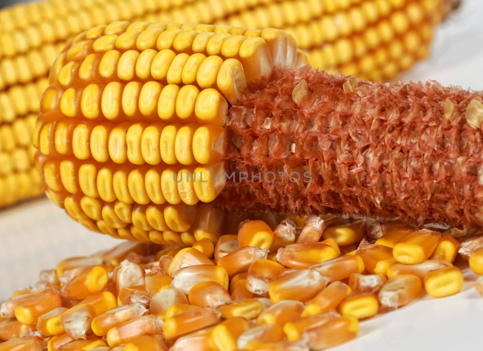 corncob detail