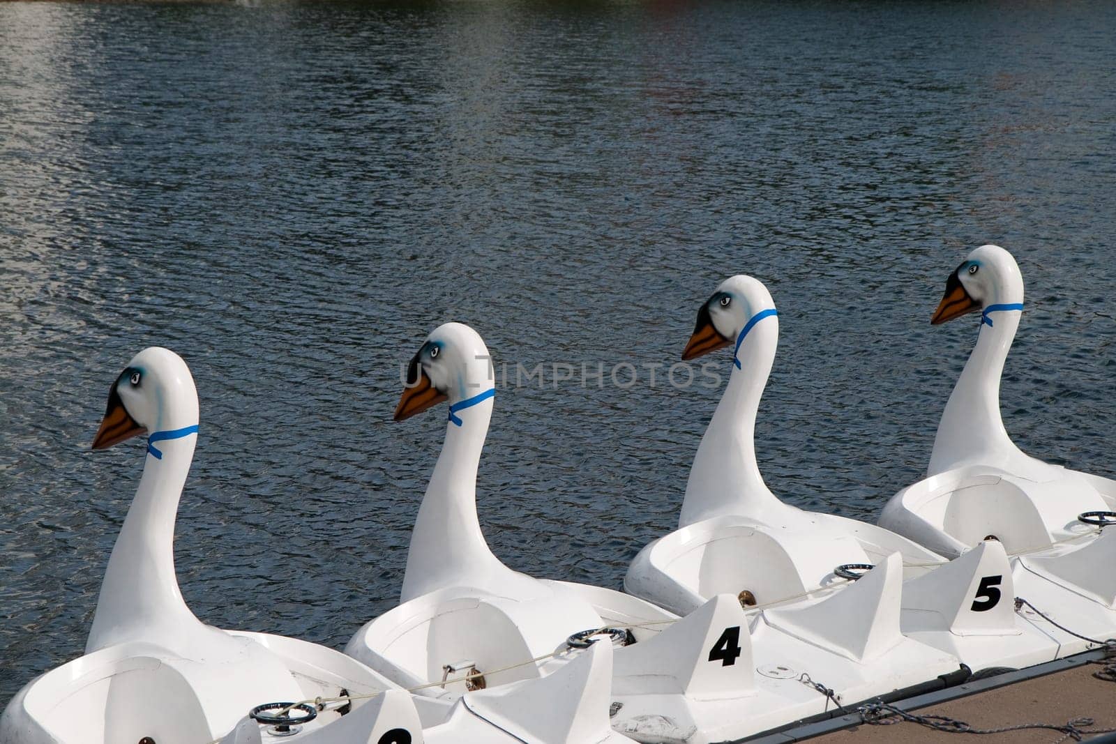 Pedalo