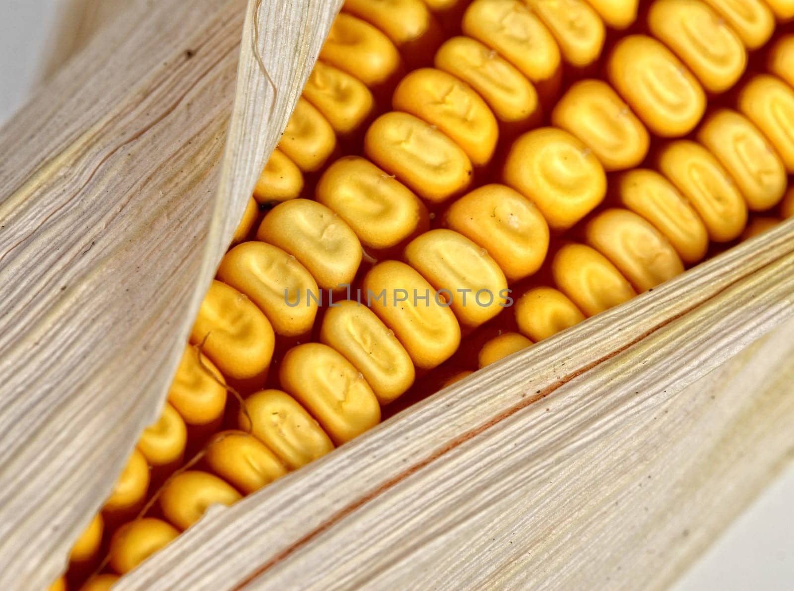 corncob detail