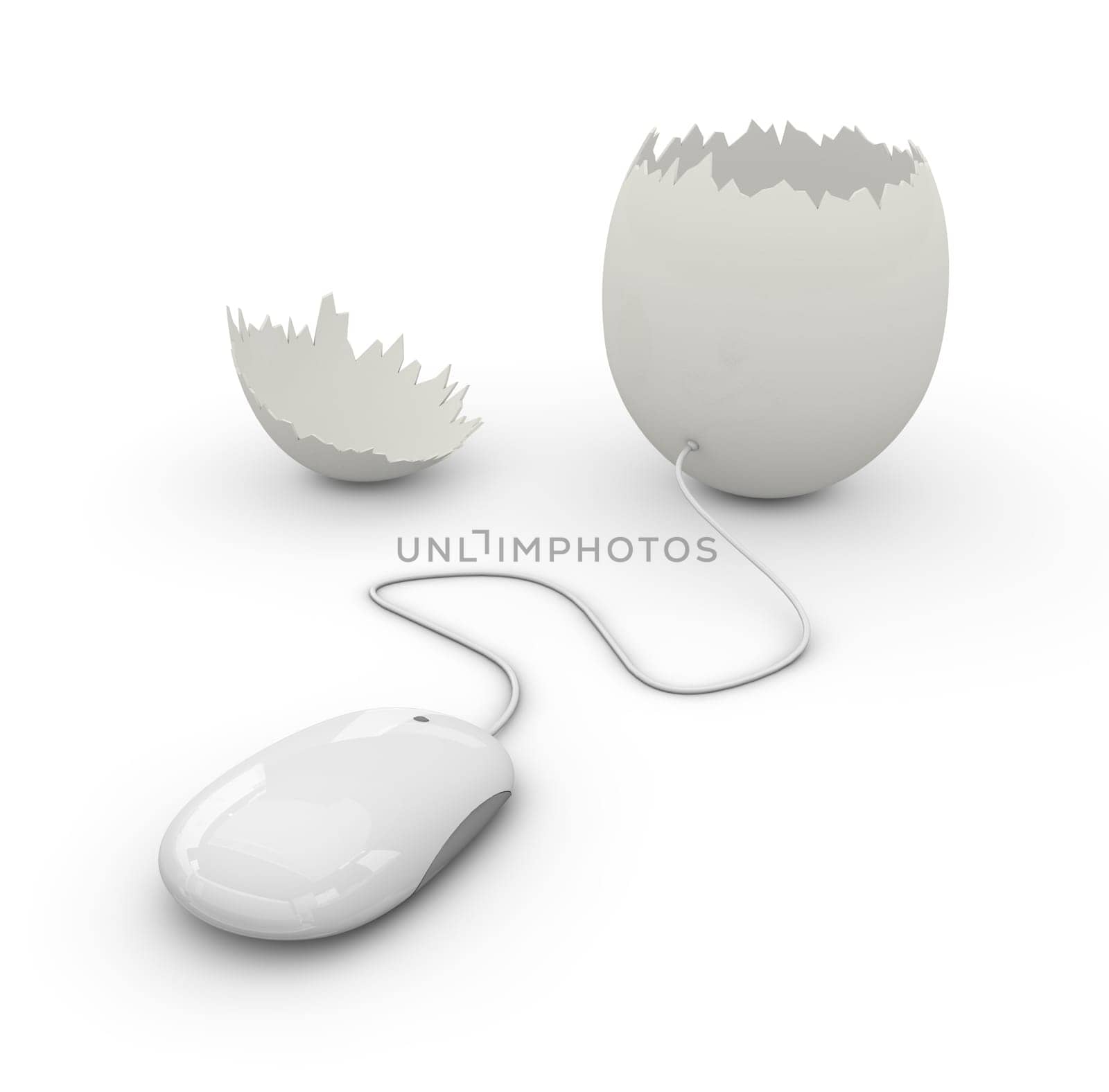 Computer Mouse