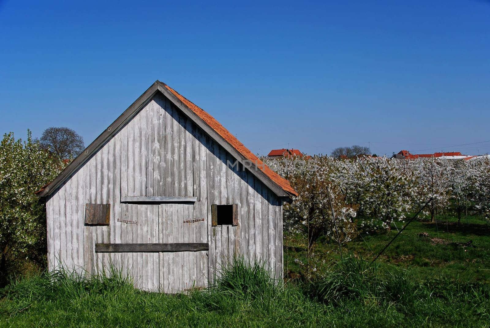 Barn in the Altes Land