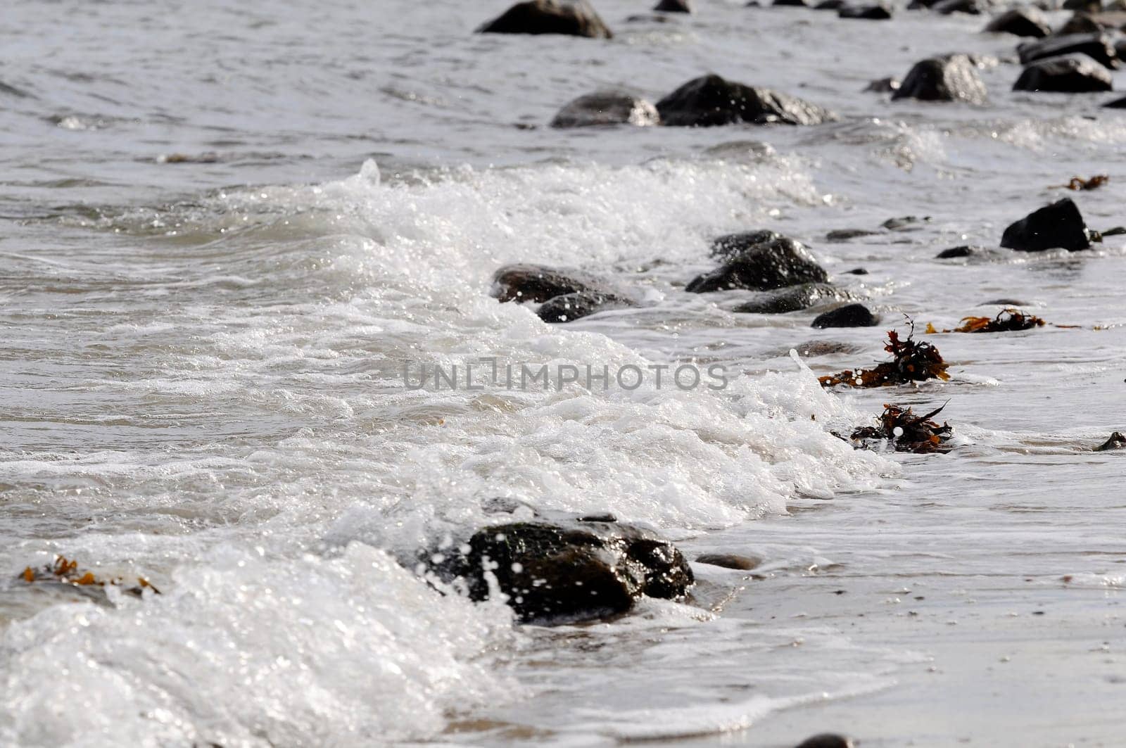 Water - Wave