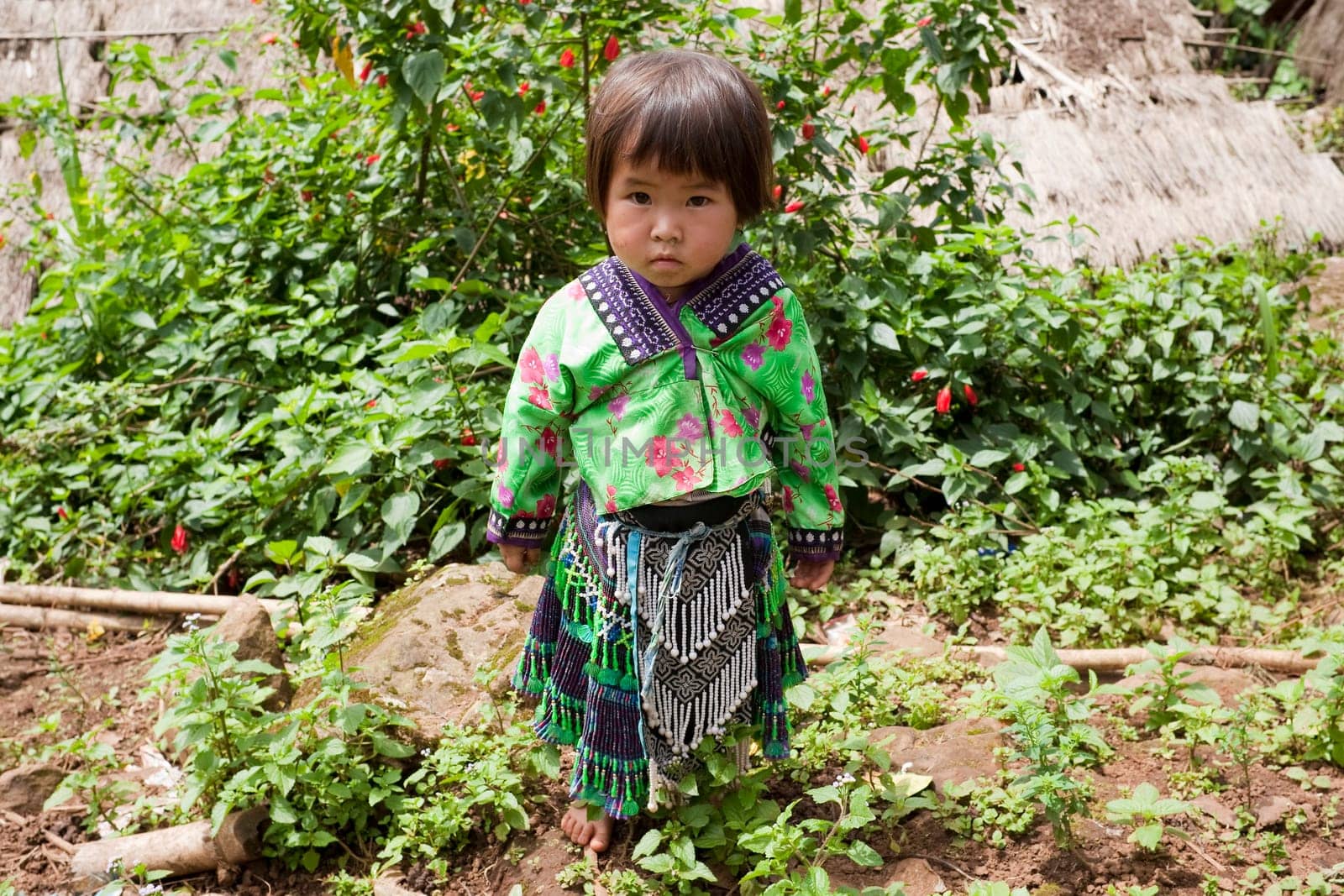 Girls of Asia,Meo ethnic group