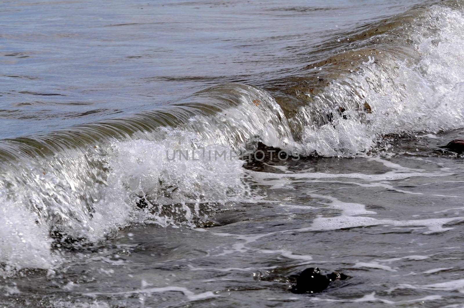 Water - Wave