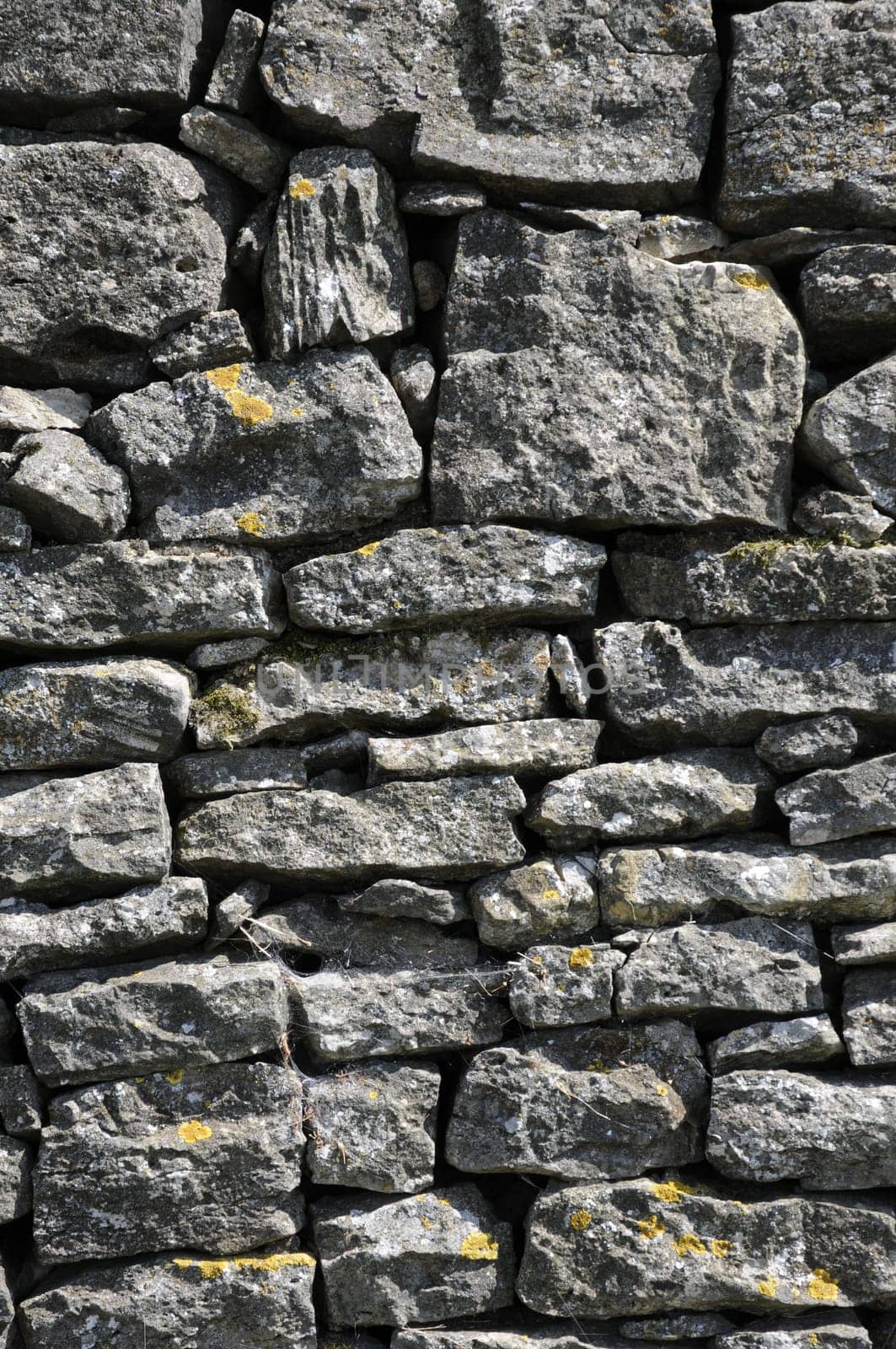Old Wall