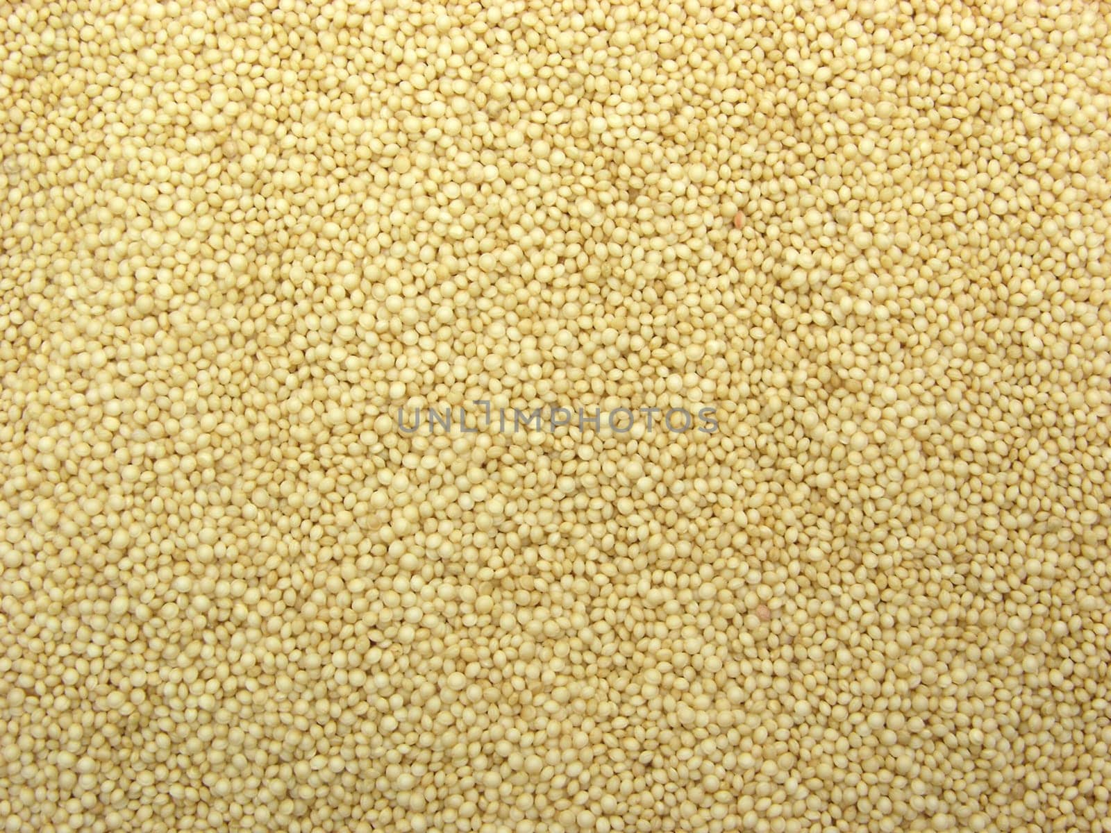 Amaranth as wallpaper