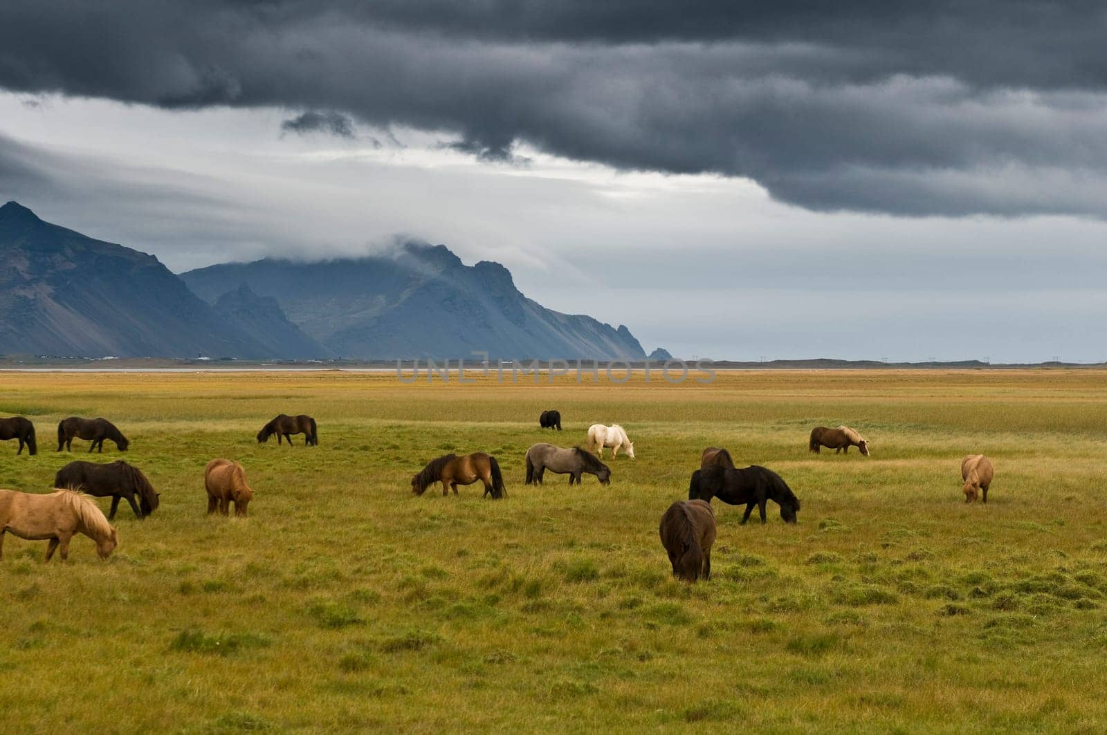 Iceland13
