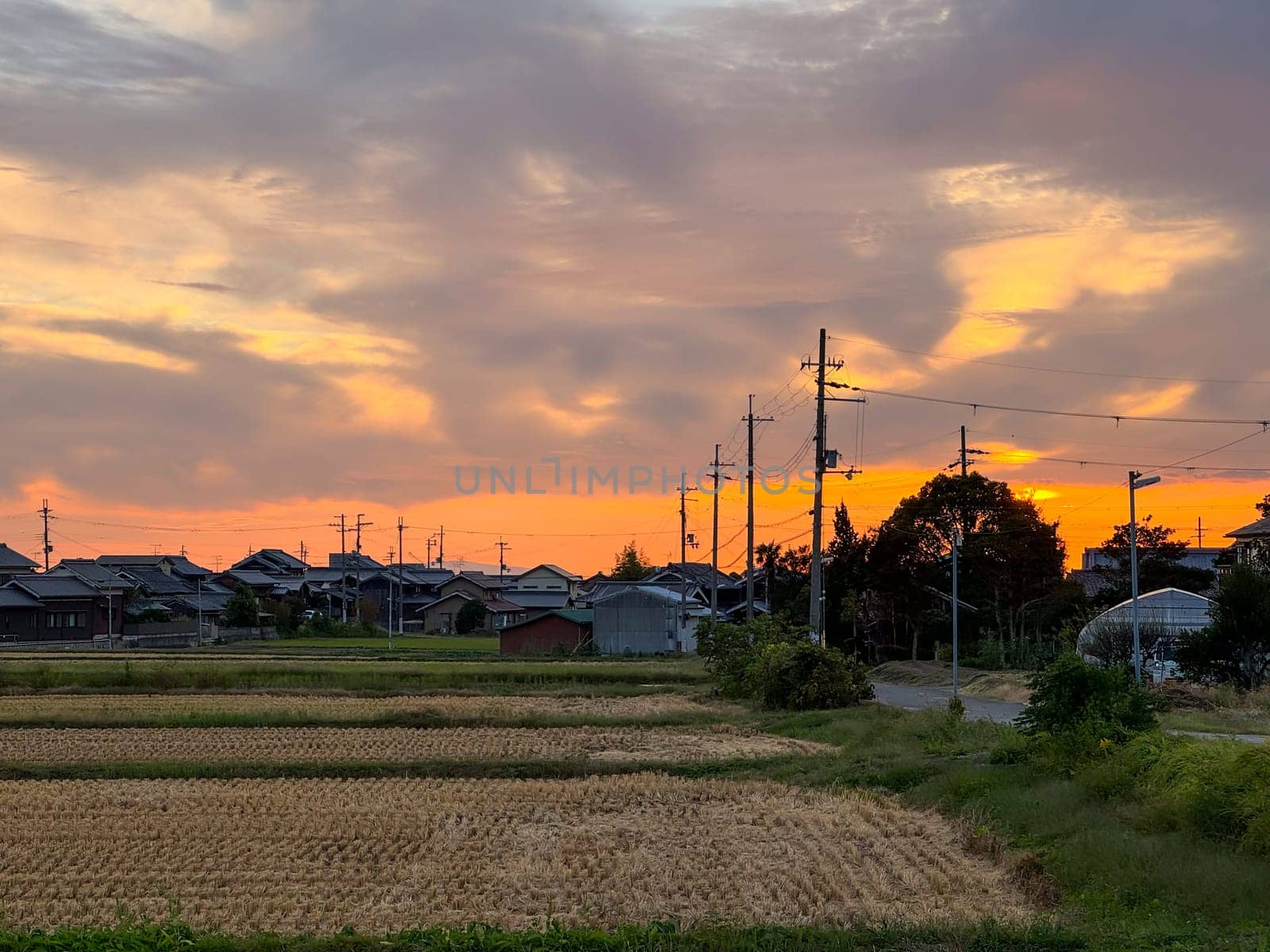 Dramatic sunset on rural Japanese village and dry harvested rice field in fall in Hyogo, Japan. High quality photo