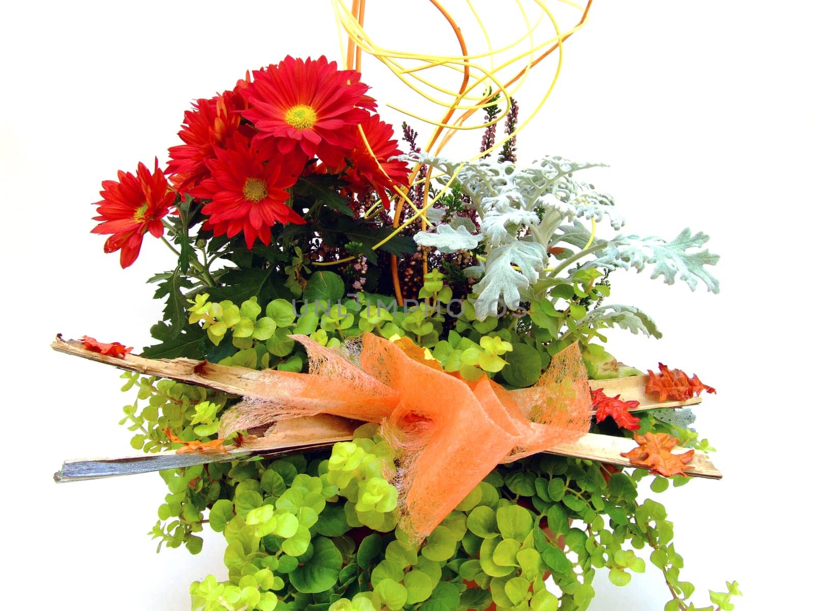 Floral arrangement