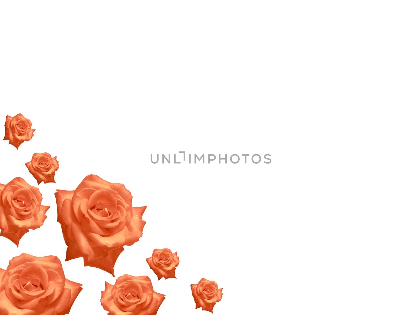 mothers day card  rose flowers frame background
