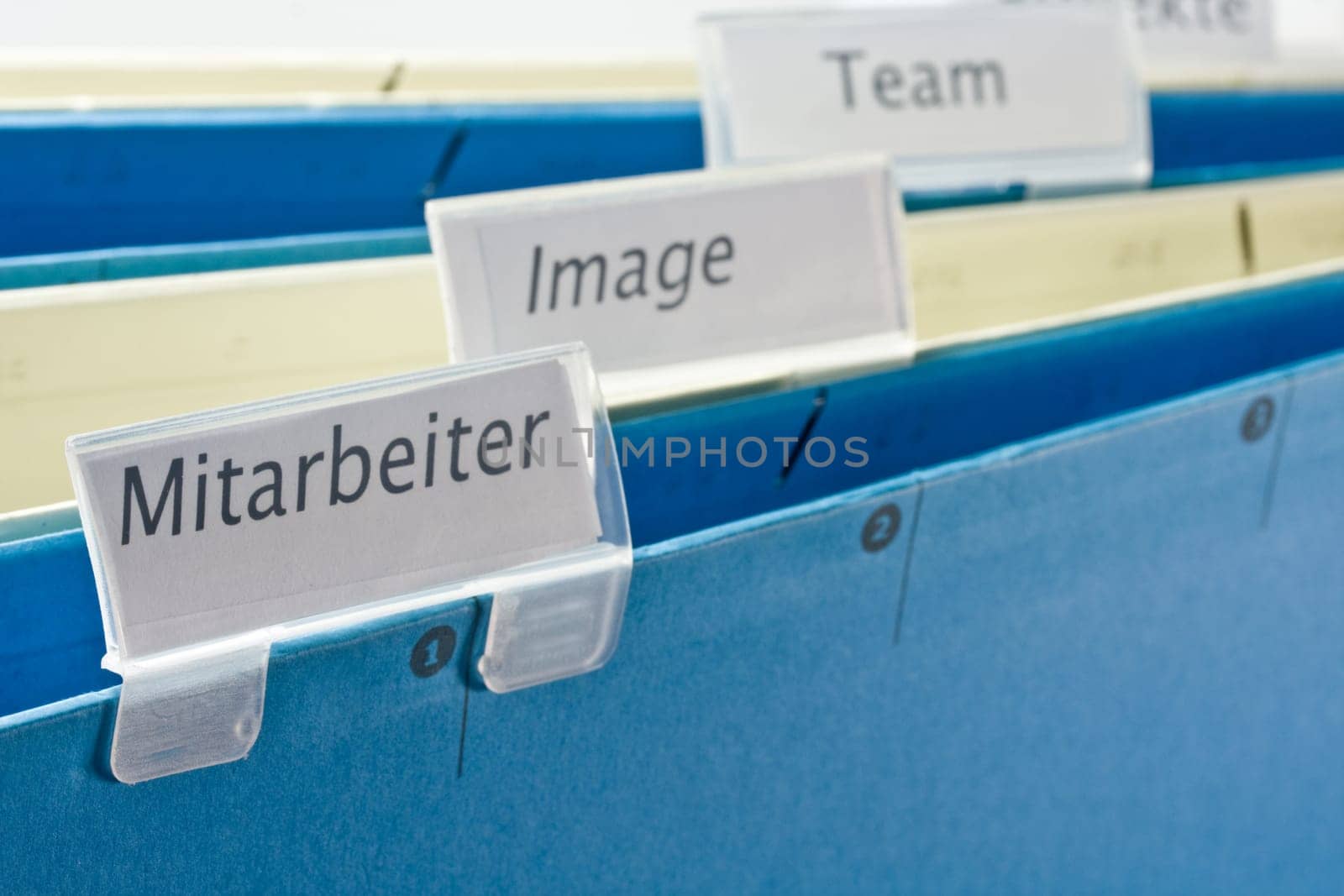 Colleague