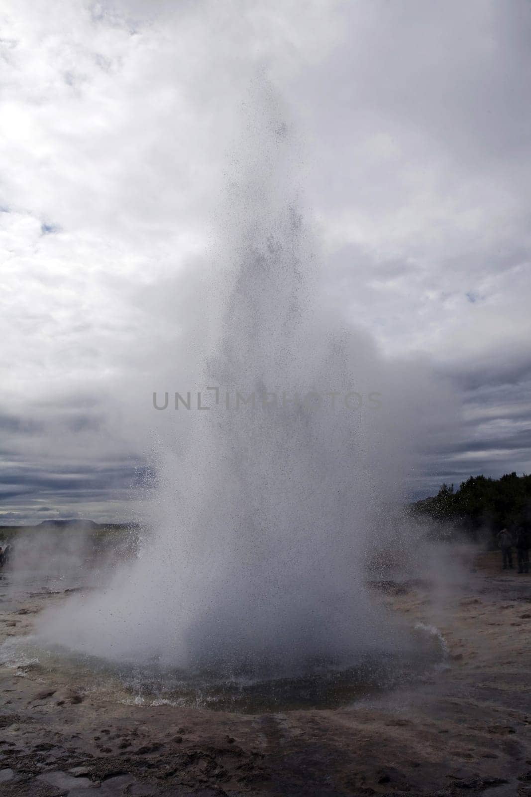 Geyser