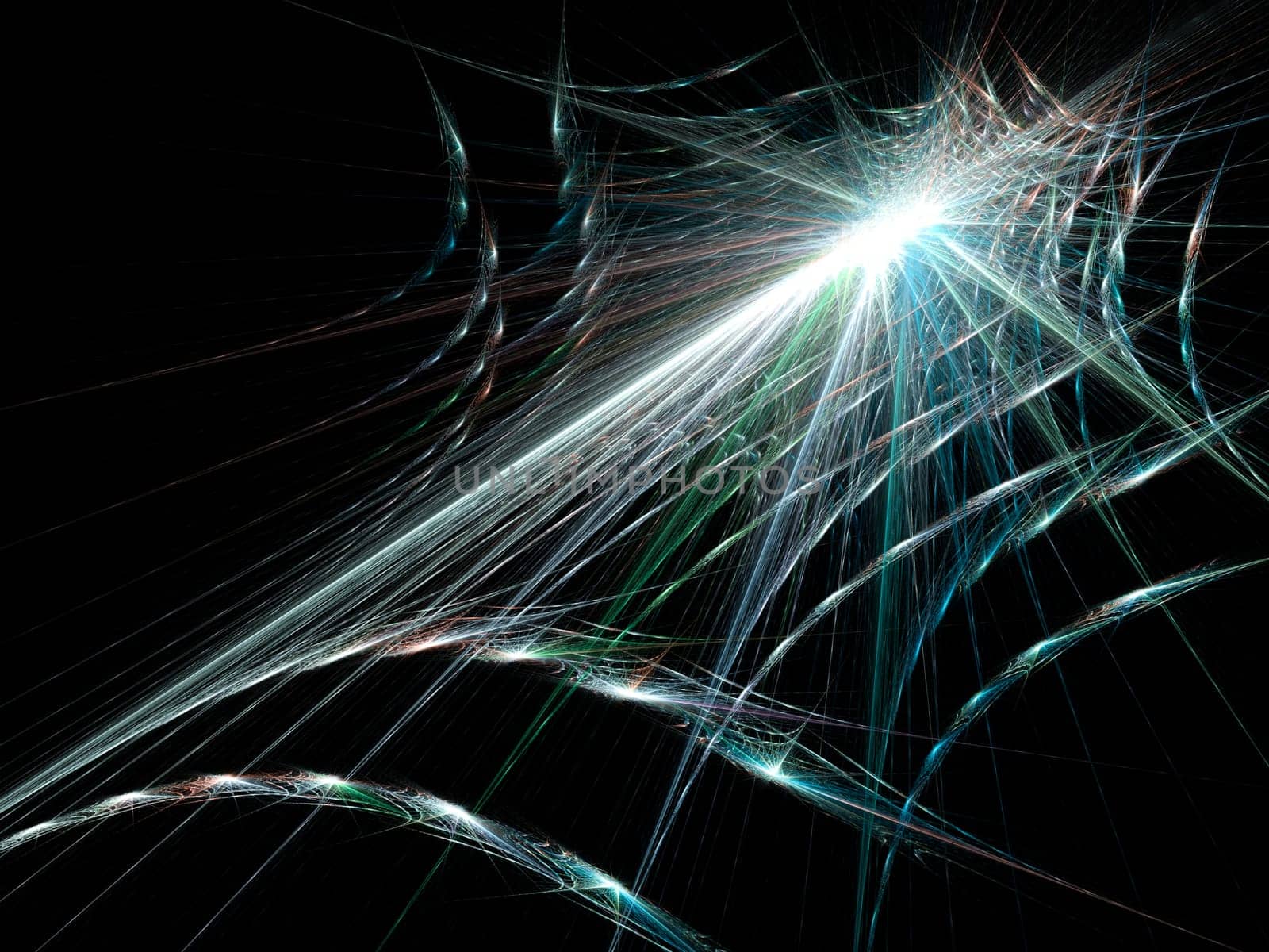 Spider Web