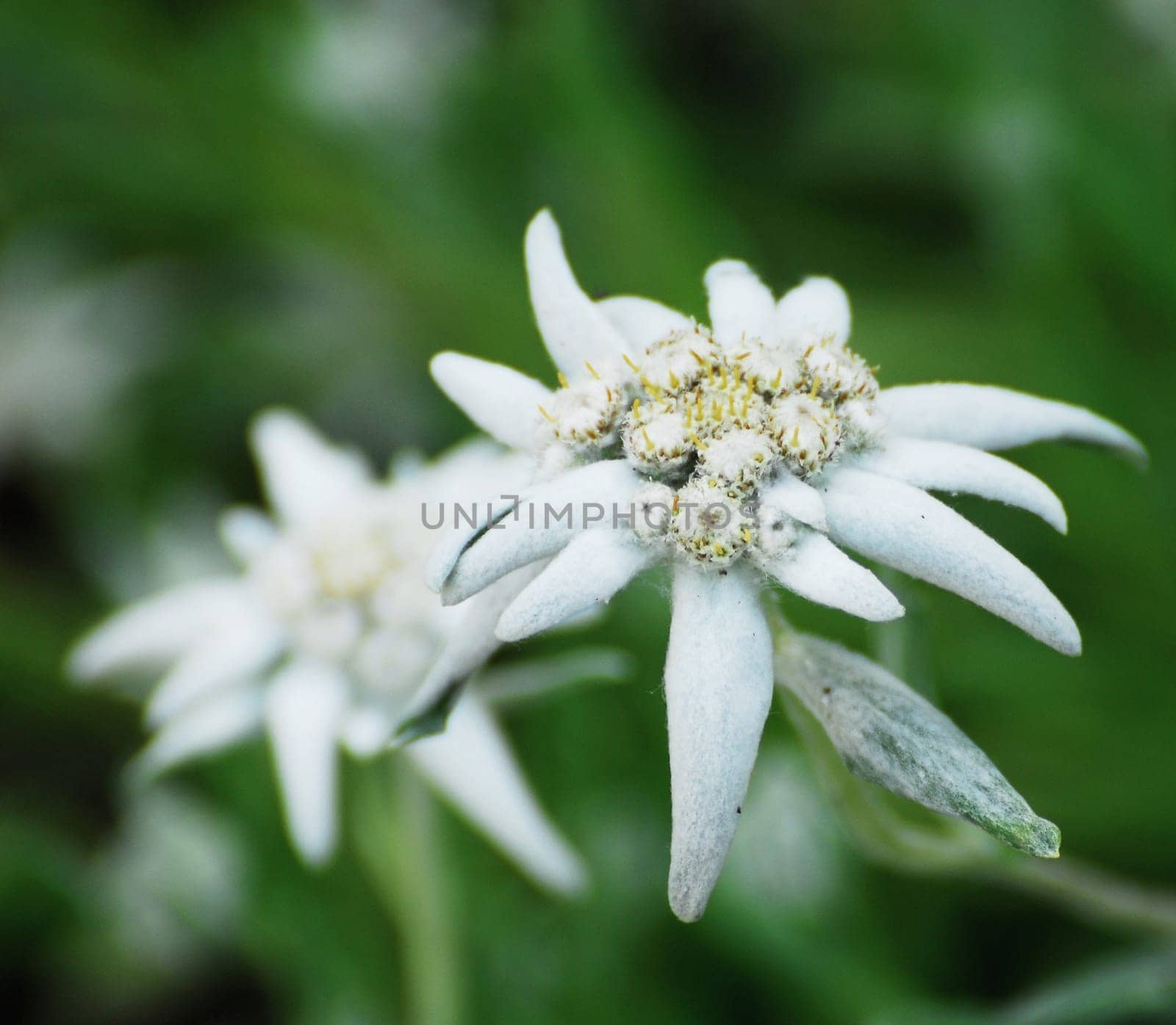 Under Nature Conservation