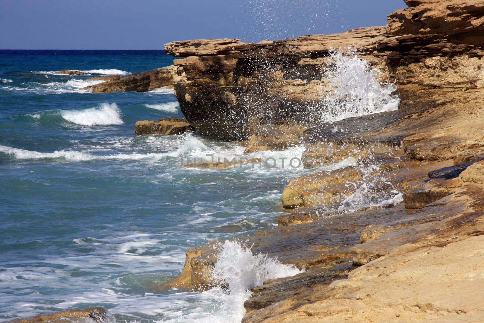 Surf