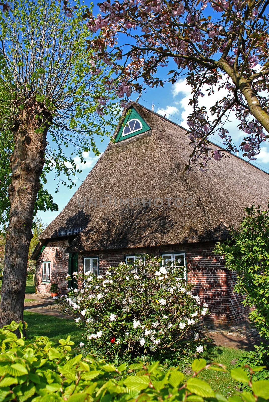 Farmhouse in Schleswig Holstein