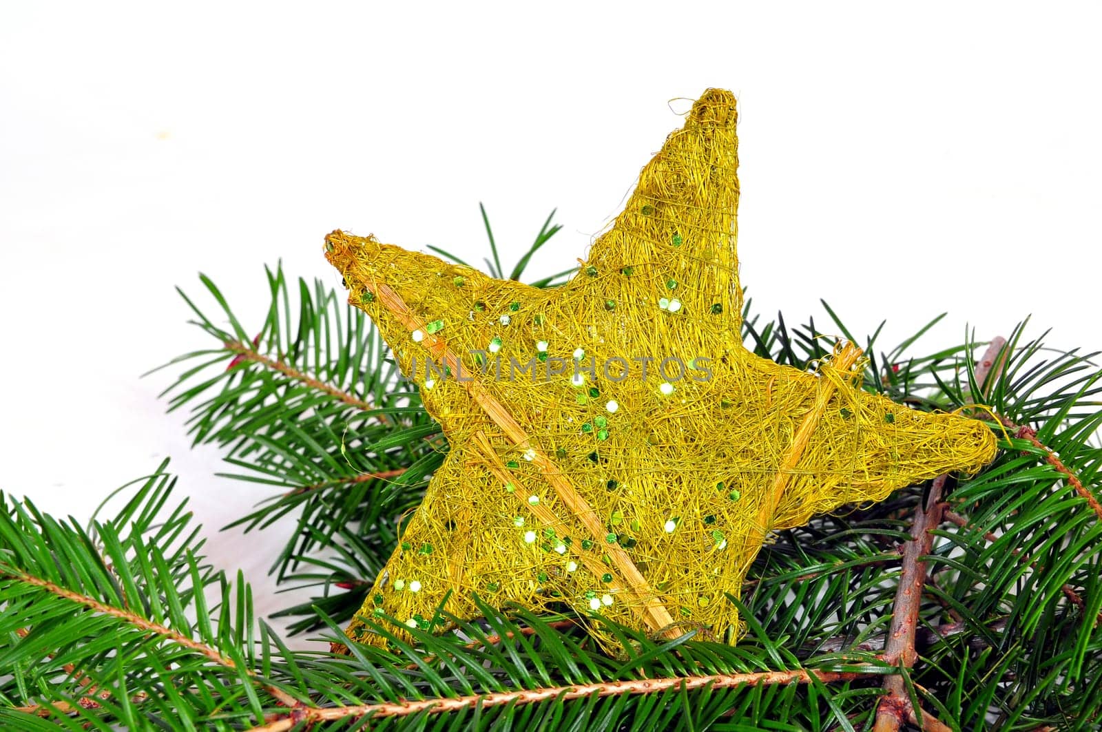 Star Branch Christmas