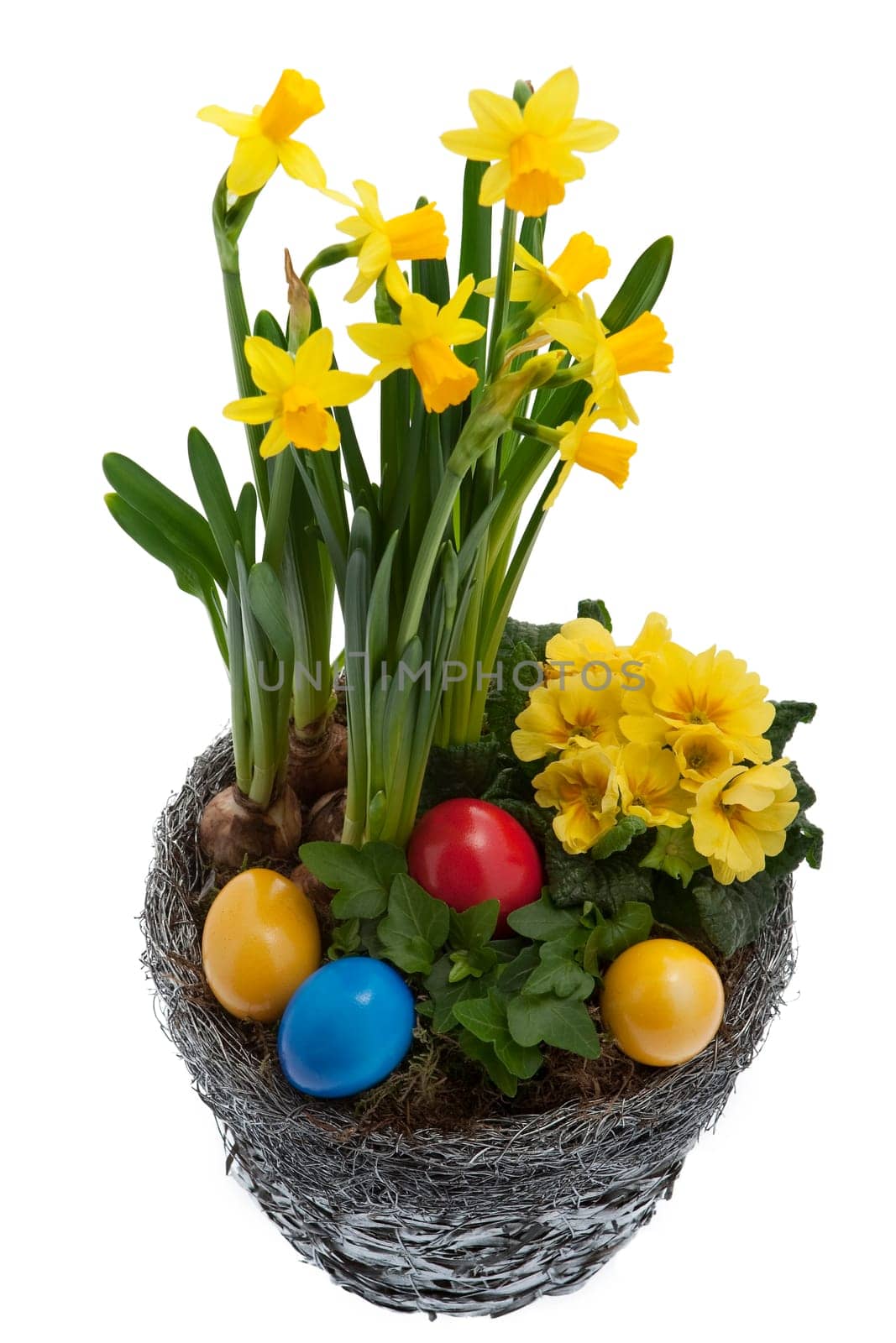 Daffodils with colorful eggs